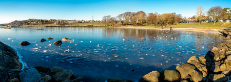 Scenic frozen coast of Hafrsfjord fjord at Sword in Rock monument and a small family park,...