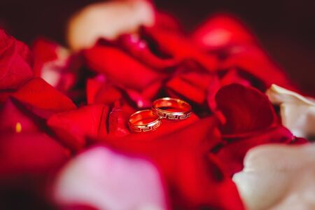 Two Golden Wedding Rings on flowers macro shotの写真素材