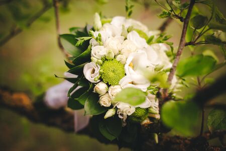 Bridal Bouquetの写真素材