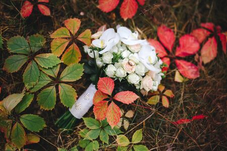 Two Golden Wedding Rings on flowers macro shotの写真素材