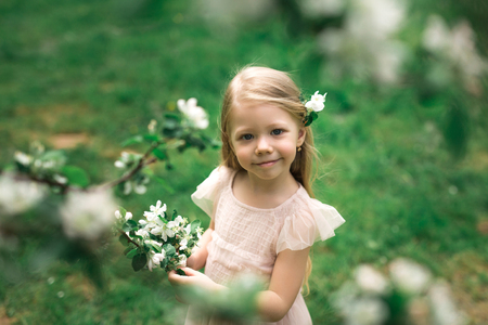 Little girl is walking in an apple gardenの写真素材