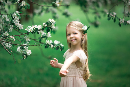 Little girl is walking in an apple gardenの写真素材