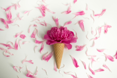 ice cream waffle cone with  peony flower on white background, flat lay, top view.の写真素材