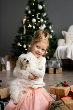 Cute girl with dog sitting near the Christmas tree. Merry Christmas and Happy Holidays.の写真素材