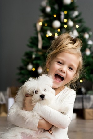 Cute girl with dog sitting near the Christmas tree. Merry Christmas and Happy Holidays.の写真素材