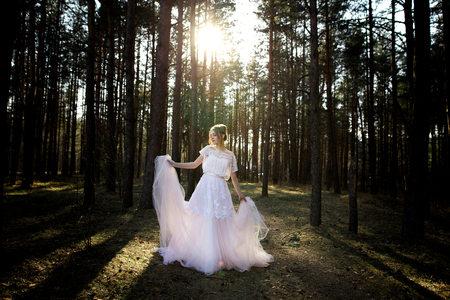 Portrait of beauty bride in white dress. bride is walking in the woodsの写真素材
