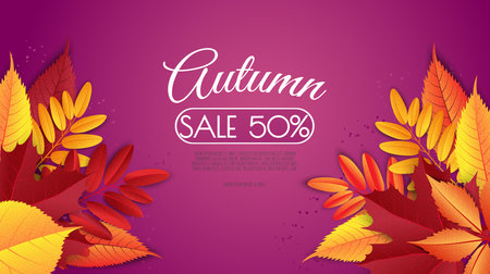 Autumn sale background layout decorate with leaves for shopping sale. Frame leaflet or web banner. Vector illustration template.のイラスト素材