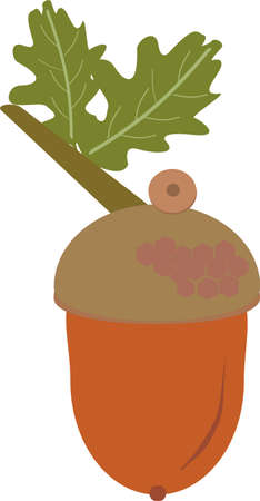 Acorn forest season autumnのイラスト素材