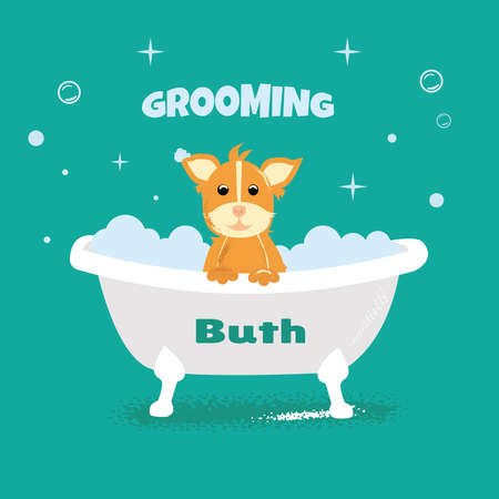 dog in bubble bath. grooming, pet shopのイラスト素材