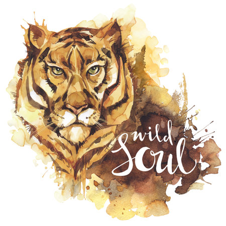 Watercolor tiger with handwritten words Wild Soul. African animal. Wildlife art illustration. Can be printed on T-shirts, bags, posters, invitations, cards, phone cases, pillows.の写真素材