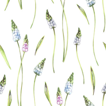 Seamless pattern delicate flowers and plants. Summer and spring watercolor illustration. Botanical texture. Elegant background. Can be used for a poster, printing on fabric, wedding holidays designs.の写真素材