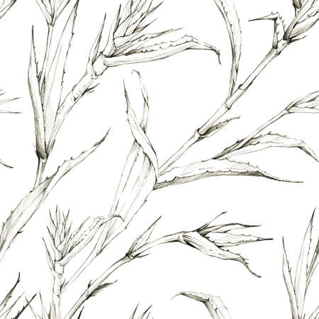 Seamless pattern with pineapple sprouts and leaves. Tropical summer graphic illustration. Botanical texture in beige shades. Monochrome design. Can be used for a poster, printing on fabric.の写真素材