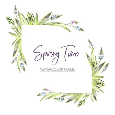 Hand painted frame with Hyacinths flowers and leaves. Corners elements. Spring watercolor illustration. Botanical texture. Can be used for a poster, printing on fabric, wedding desings. Nature.の写真素材