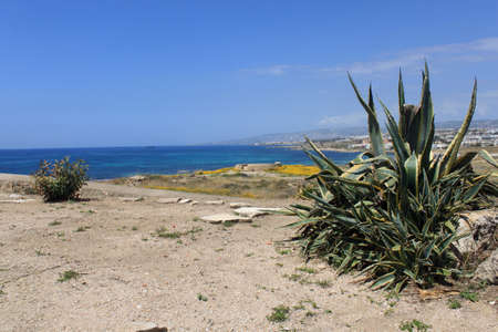 Paphos in spring, Cyprusの写真素材