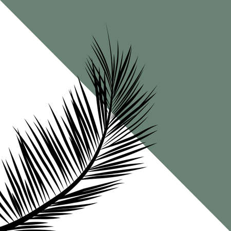 Minimal design with palm leaf decoration and white and green trianglesの写真素材