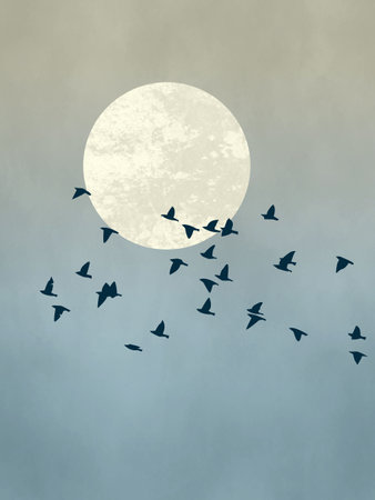 Abstract illustration with flock of birds at full moon decoration on dramatic skyの写真素材