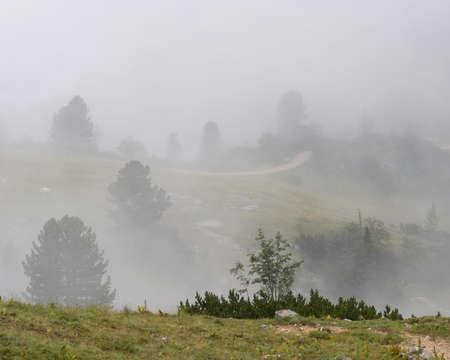 Fog and Hiking trail, Alps of Bavaria.の写真素材
