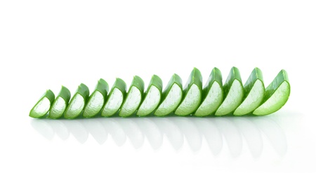 aloe vera fresh leaf isolated  white background,の写真素材