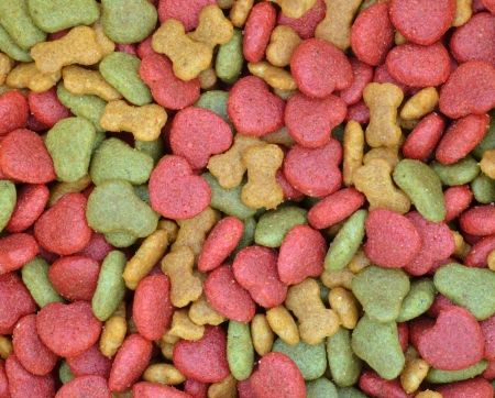 Dog Foodの写真素材
