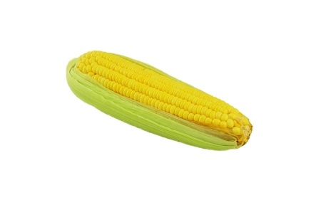 Corn on a white backgroundの写真素材