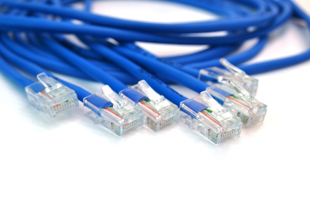 blue computer ethernet cable isolated on white backgroundの写真素材