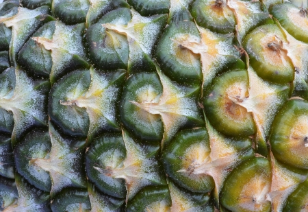 Pineapple skin close upの写真素材