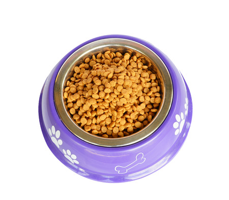 Dog food in a bowl, isolated on white.の写真素材