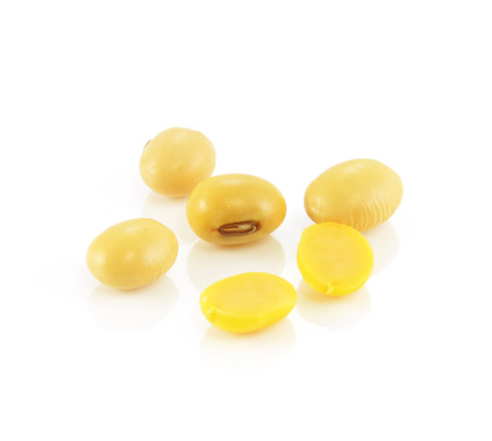 soy beans isolated on white backgroundの写真素材
