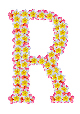 Frangipani flower isolated on whiteの写真素材