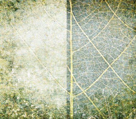 Texture and backgroundの写真素材