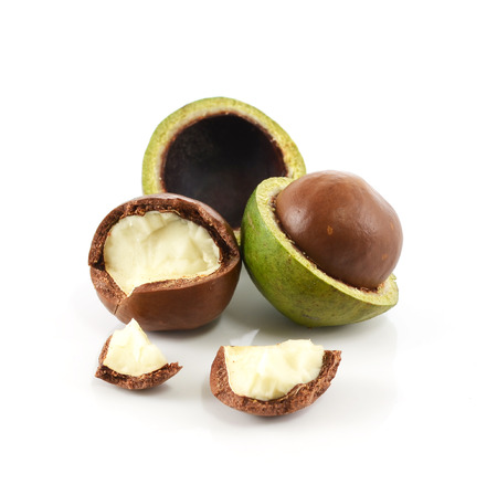 macadamia nuts on white backgroundの写真素材