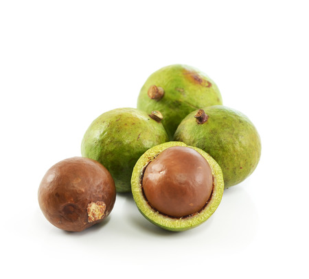macadamia nuts on white backgroundの写真素材
