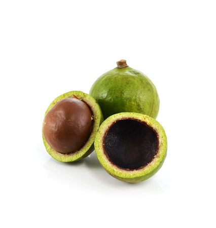 macadamia nuts on white backgroundの写真素材