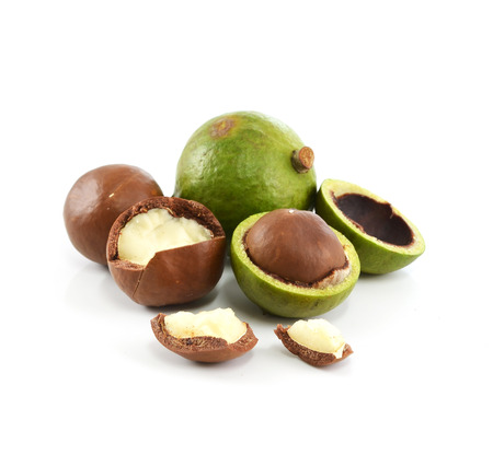 macadamia nuts on white backgroundの写真素材