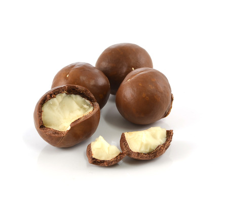 macadamia nuts on white backgroundの写真素材
