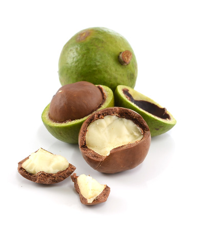 macadamia nuts on white background;の写真素材