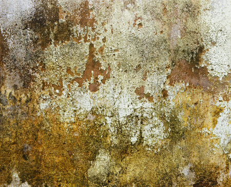 Old wall.の写真素材