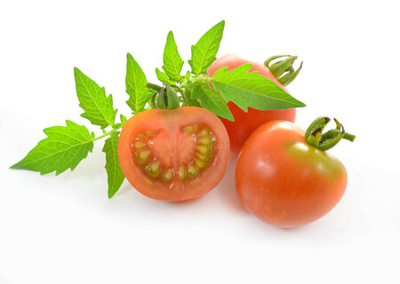 Red tomato vegetable on white background.の写真素材