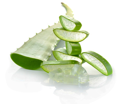 aloe vera fresh leaf isolated white backgroundの写真素材