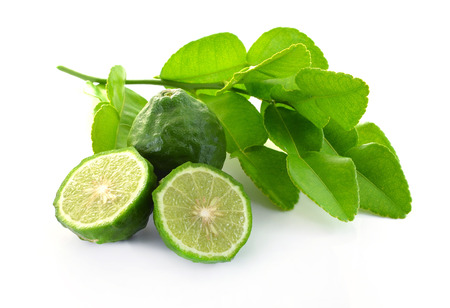 Kaffir lime on white backgroundの写真素材