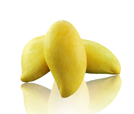 Mango isolated on a green background.の写真素材