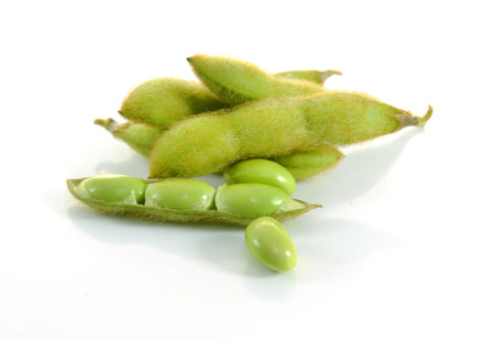 edamame nibbles, boiled green soy beans, japanese foodの写真素材