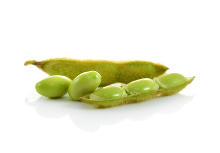 edamame nibbles, boiled green soy beans, japanese foodの写真素材