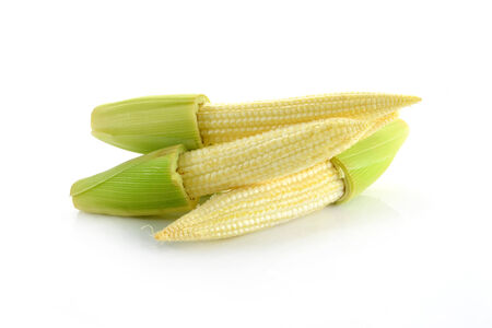 baby corn isolated on white backgroundの写真素材