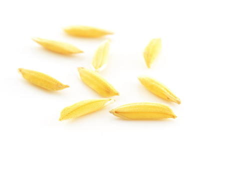 rice grains isolated on whiteの写真素材