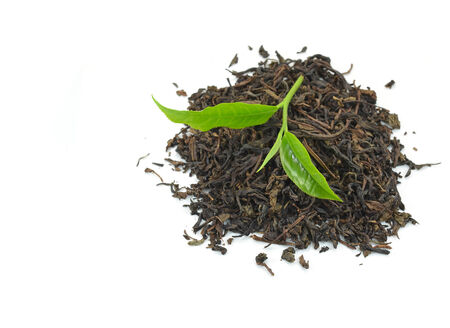 Green tea leaf isolated on white backgroundの写真素材