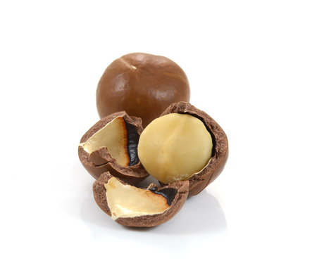 macadamia nuts on white background