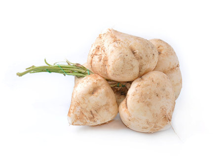 Whole Jicama isolated on white background