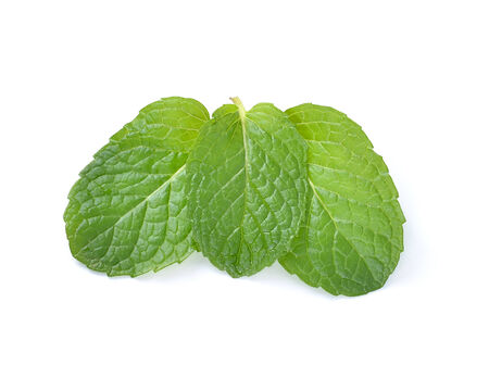 mint leaves isolated on white backgroundの写真素材