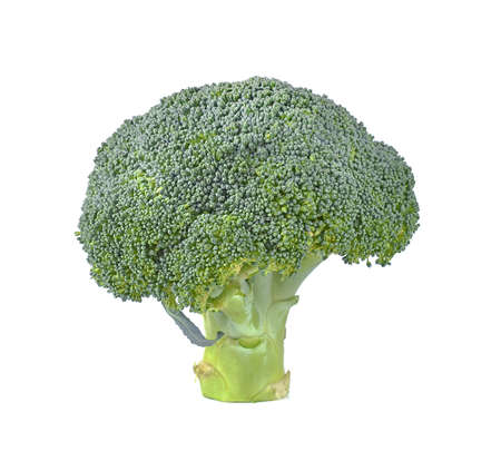 broccoli isolated on white backgroundの写真素材